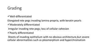 Grading
Well-differentiated
Elongated rete pegs invading lamina propria, with keratin pearls
Moderately differentiated
Irregular invading rete pegs; loss of cellular cohesion
Poorly differentiated
Sheets of invading epithelium with no obvious architecture,but severe
cellular abnormalities such as pleomorphism and hyperchromatism
 