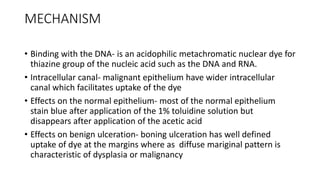 MECHANISM
• Binding with the DNA- is an acidophilic metachromatic nuclear dye for
thiazine group of the nucleic acid such as the DNA and RNA.
• Intracellular canal- malignant epithelium have wider intracellular
canal which facilitates uptake of the dye
• Effects on the normal epithelium- most of the normal epithelium
stain blue after application of the 1% toluidine solution but
disappears after application of the acetic acid
• Effects on benign ulceration- boning ulceration has well defined
uptake of dye at the margins where as diffuse mariginal pattern is
characteristic of dysplasia or malignancy
 