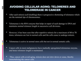 oral cancer and tumour markers- power point | PPTX