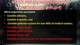 Micro-organisms associated
• Candida albicans,
• Candida tropicalis, and
• Candida glabrata account for over 80% of medical isolates;
• Candida parapsilopsis,
• Candida guilliermondii,
• Candida krusei, and
• Candida pseudotropicalis are also recognized as pathogens.
14
 