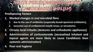 Predisposing Factors
1. Marked changes in oral microbial flora
1. due to the use of antibiotics [especially broad-spectrum antibiotics],
2. excessive use of antibacterial mouth rinses, or xerostomia
2. Chronic local irritants (dentures and orthodontic appliances)
3. Administration of corticosteroids (aerosolized inhalant and
topical agents are more likely to cause Candidiasis than
systemic administration)
4. Poor oral hygiene
15
 