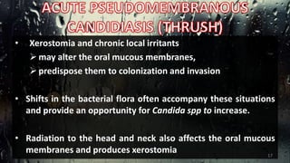 • Xerostomia and chronic local irritants
may alter the oral mucous membranes,
predispose them to colonization and invasion
• Shifts in the bacterial flora often accompany these situations
and provide an opportunity for Candida spp to increase.
• Radiation to the head and neck also affects the oral mucous
membranes and produces xerostomia 17
 