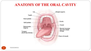 ANATOMY OF THE ORAL CAVITY
182520290033
3
 