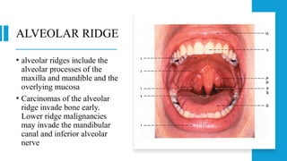 ORAL CAVITY-cancer, anatomy,pathology1.pptx
