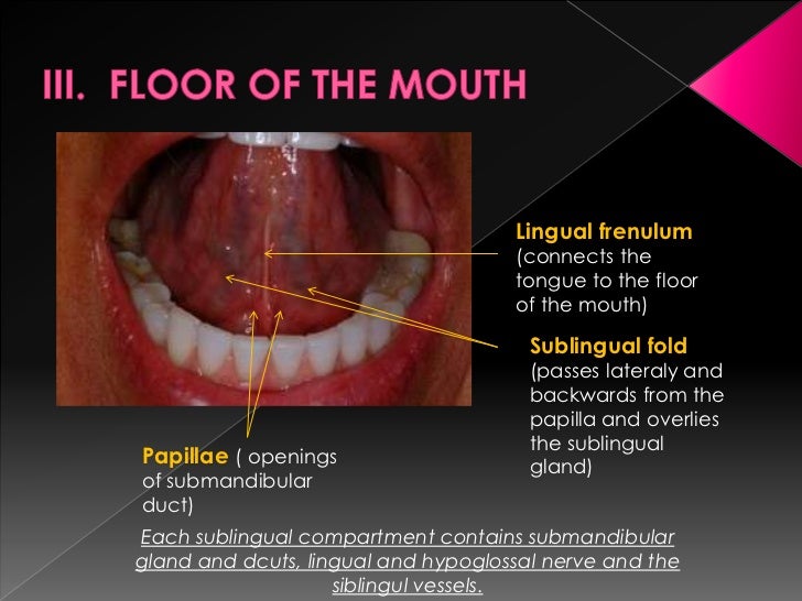 Oral cavity