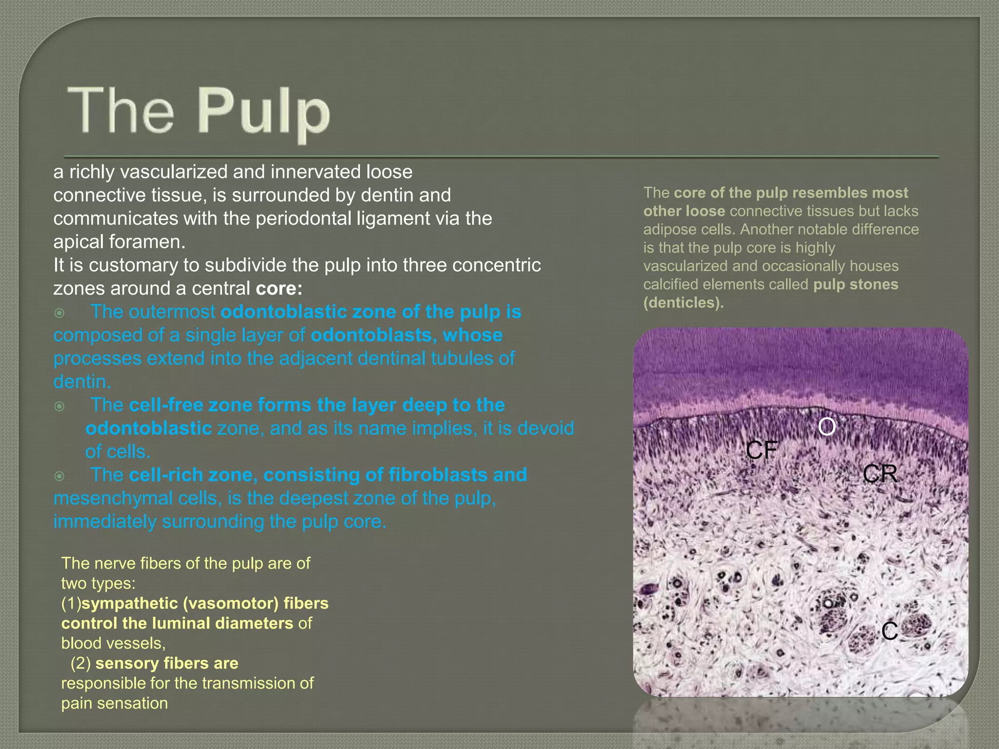 Oral cavity anatomy and histology | PPTX