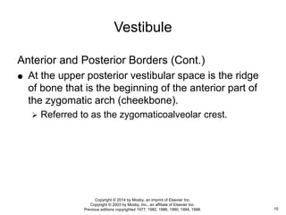Posterior Ridge Nomenclature: Oral cavity | PPTX