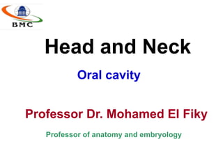 Head and Neck
Oral cavity
Professor Dr. Mohamed El Fiky
Professor of anatomy and embryology
 