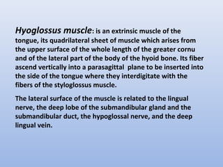 Hyoglossus muscle: is an extrinsic muscle of the
tongue, its quadrilateral sheet of muscle which arises from
the upper surface of the whole length of the greater cornu
and of the lateral part of the body of the hyoid bone. Its fiber
ascend vertically into a parasagittal plane to be inserted into
the side of the tongue where they interdigitate with the
fibers of the styloglossus muscle.
The lateral surface of the muscle is related to the lingual
nerve, the deep lobe of the submandibular gland and the
submandibular duct, the hypoglossal nerve, and the deep
lingual vein.
 