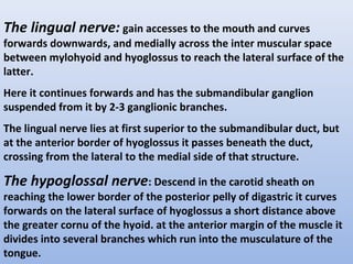 The lingual nerve: gain accesses to the mouth and curves
forwards downwards, and medially across the inter muscular space
between mylohyoid and hyoglossus to reach the lateral surface of the
latter.
Here it continues forwards and has the submandibular ganglion
suspended from it by 2-3 ganglionic branches.
The lingual nerve lies at first superior to the submandibular duct, but
at the anterior border of hyoglossus it passes beneath the duct,
crossing from the lateral to the medial side of that structure.
The hypoglossal nerve: Descend in the carotid sheath on
reaching the lower border of the posterior pelly of digastric it curves
forwards on the lateral surface of hyoglossus a short distance above
the greater cornu of the hyoid. at the anterior margin of the muscle it
divides into several branches which run into the musculature of the
tongue.
 