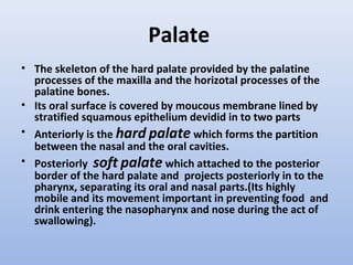 Palate
• The skeleton of the hard palate provided by the palatine
processes of the maxilla and the horizotal processes of the
palatine bones.
• Its oral surface is covered by moucous membrane lined by
stratified squamous epithelium devidid in to two parts
• Anteriorly is the hard palate which forms the partition
between the nasal and the oral cavities.
• Posteriorly soft palate which attached to the posterior
border of the hard palate and projects posteriorly in to the
pharynx, separating its oral and nasal parts.(Its highly
mobile and its movement important in preventing food and
drink entering the nasopharynx and nose during the act of
swallowing).
 