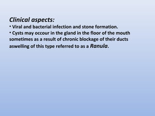 Clinical aspects:
• Viral and bacterial infection and stone formation.
• Cysts may occour in the gland in the floor of the mouth
sometimes as a result of chronic blockage of their ducts
aswelling of this type referred to as a Ranula.
 