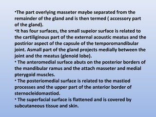 •The part overlying masseter maybe separated from the
remainder of the gland and is then termed ( accessory part
of the gland).
•It has four surfaces, the small supeior surface is related to
the cartiliginous part of the external acoustic meatus and the
postirior aspect of the capsule of the temporomandibular
joint. Asmall part of the gland projects medially between the
joint and the meatus (glenoid lobe).
• The anteromedial surface abuts on the posterior borders of
the mandibular ramus and the attach masseter and medial
pterygoid muscles.
• The posteriomedial surface is related to the mastiod
processes and the upper part of the anterior border of
sternocleidomastiod.
• The superfacial surface is flattened and is covered by
subcutaneous tissue and skin.
 