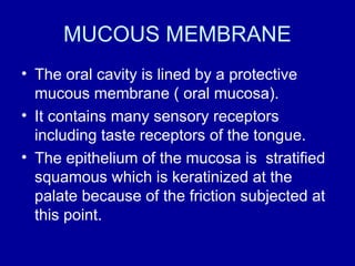 MUCOUS MEMBRANE
• The oral cavity is lined by a protective
mucous membrane ( oral mucosa).
• It contains many sensory receptors
including taste receptors of the tongue.
• The epithelium of the mucosa is stratified
squamous which is keratinized at the
palate because of the friction subjected at
this point.
 