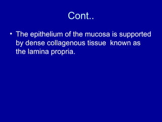Cont..
• The epithelium of the mucosa is supported
by dense collagenous tissue known as
the lamina propria.
 
