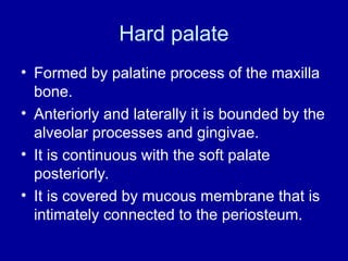 Hard palate
• Formed by palatine process of the maxilla
bone.
• Anteriorly and laterally it is bounded by the
alveolar processes and gingivae.
• It is continuous with the soft palate
posteriorly.
• It is covered by mucous membrane that is
intimately connected to the periosteum.
 