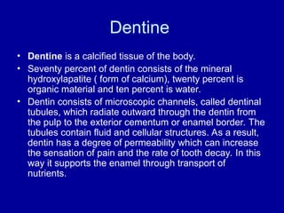 Dentine
• Dentine is a calcified tissue of the body.
• Seventy percent of dentin consists of the mineral
hydroxylapatite ( form of calcium), twenty percent is
organic material and ten percent is water.
• Dentin consists of microscopic channels, called dentinal
tubules, which radiate outward through the dentin from
the pulp to the exterior cementum or enamel border. The
tubules contain fluid and cellular structures. As a result,
dentin has a degree of permeability which can increase
the sensation of pain and the rate of tooth decay. In this
way it supports the enamel through transport of
nutrients.
 