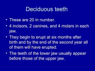 Deciduous teeth
• These are 20 in number.
• 4 incisors, 2 canines, and 4 molars in each
jaw.
• They begin to erupt at six months after
birth and by the end of the second year all
of them will have erupted.
• The teeth of the lower jaw usually appear
before those of the upper jaw.
 
