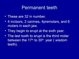Permanent teeth
• These are 32 in number.
• 4 incisors, 2 canines, 4premolars, and 6
molars in each jaw.
• They begin to erupt at the sixth year.
• The last tooth to erupt is the third molar
between the 17th
to 30th
year ( wisdom
teeth).
 