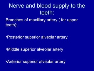 Nerve and blood supply to the
teeth:
Branches of maxillary artery ( for upper
teeth):
•Posterior superior alveolar artery
•Middle superior alveolar artery
•Anterior superior alveolar artery
 