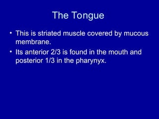 The Tongue
• This is striated muscle covered by mucous
membrane.
• Its anterior 2/3 is found in the mouth and
posterior 1/3 in the pharynyx.
 