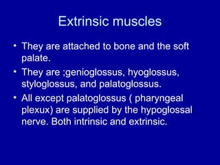 Extrinsic muscles
• They are attached to bone and the soft
palate.
• They are ;genioglossus, hyoglossus,
styloglossus, and palatoglossus.
• All except palatoglossus ( pharyngeal
plexux) are supplied by the hypoglossal
nerve. Both intrinsic and extrinsic.
 