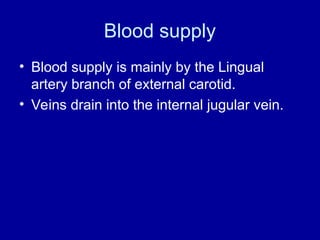 Blood supply
• Blood supply is mainly by the Lingual
artery branch of external carotid.
• Veins drain into the internal jugular vein.
 