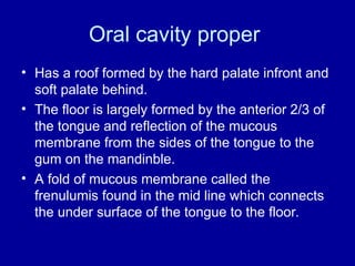 Oral cavity proper
• Has a roof formed by the hard palate infront and
soft palate behind.
• The floor is largely formed by the anterior 2/3 of
the tongue and reflection of the mucous
membrane from the sides of the tongue to the
gum on the mandinble.
• A fold of mucous membrane called the
frenulumis found in the mid line which connects
the under surface of the tongue to the floor.
 