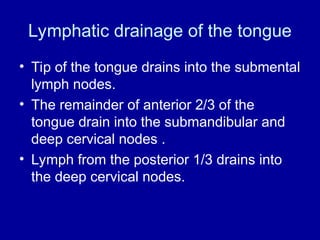 Lymphatic drainage of the tongue
• Tip of the tongue drains into the submental
lymph nodes.
• The remainder of anterior 2/3 of the
tongue drain into the submandibular and
deep cervical nodes .
• Lymph from the posterior 1/3 drains into
the deep cervical nodes.
 