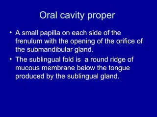 Oral cavity proper
• A small papilla on each side of the
frenulum with the opening of the orifice of
the submandibular gland.
• The sublingual fold is a round ridge of
mucous membrane below the tongue
produced by the sublingual gland.
 