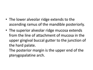 Lower Alvedar Ridge Oral cavity anatomy | PPTX