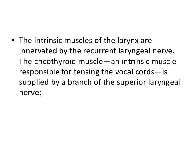 Oral cavity anatomy