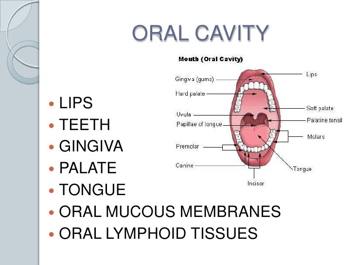 Oral cavity lesions
