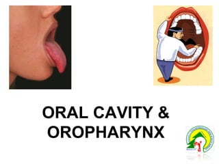 ORAL CAVITY &
OROPHARYNX
 