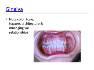 Gingiva
• Note color, tone,
texture, architecture &
mucogingival
relationships
 