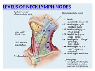 LEVELS OF NECK LYMPH NODES
 