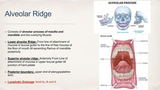 Posterior Ridge oral cavity radiology.pptx radiation oncology | PPTX