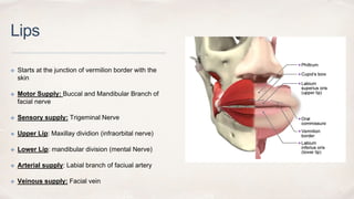 oral cavity radiology.pptx radiation oncology | PPTX