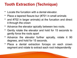 oral cavity slavery gland dog cat small animal surgery.pptx