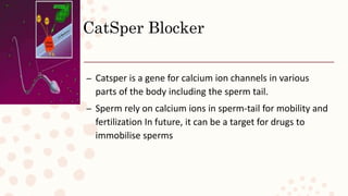 CatSper Blocker
– Catsper is a gene for calcium ion channels in various
parts of the body including the sperm tail.
– Sperm rely on calcium ions in sperm-tail for mobility and
fertilization In future, it can be a target for drugs to
immobilise sperms
 