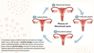 A menstrual cycle consists of uterine and ovarian changes
which occur side by side. A uterine change consists of three
phase i.e bleeding phase, proliferative phase and secretory
phase whereas ovarian phase consists of menstrual phase,
follicular phase(corresponds to proliferative phase)and luteal
phase(corresponds to secretory phase)
 