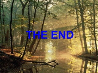 THE END 