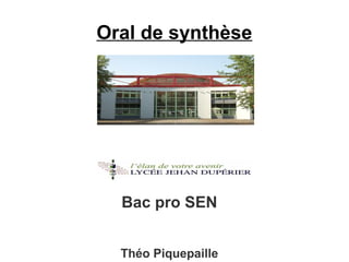 Oral de synthèse
Bac pro SEN
Théo Piquepaille
 