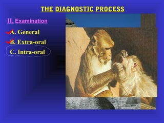 THE DIAGNOSTIC PROCESS 
II. Examination 
A. General 
B. Extra-oral 
C. Intra-oral 
 