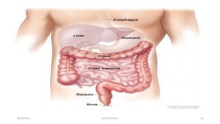 28/05/2016 SAGAR SAVALE 55
 