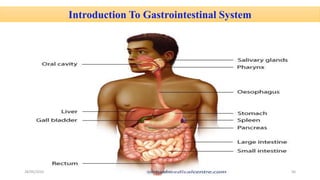 Introduction To Gastrointestinal System
28/05/2016 56SAGAR SAVALE
 
