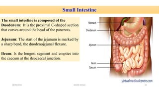 Small Intestine
The small intestine is composed of the
Duodenum: It is the proximal C-shaped section
that curves around the head of the pancreas.
Jejunum: The start of the jejunum is marked by
a sharp bend, the duodenojejunal flexure.
Ileum: Is the longest segment and empties into
the caecum at the ileocaecal junction.
28/05/2016 62SAGAR SAVALE
 