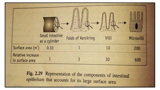 28/05/2016 63SAGAR SAVALE
 