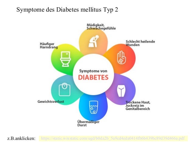 krankheitsbild diabetes mellitus typ-17