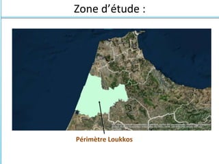 Zone d’étude :
Périmètre Loukkos
 
